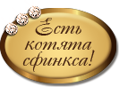 Есть котята сфинкса на продажу! btn sphinx